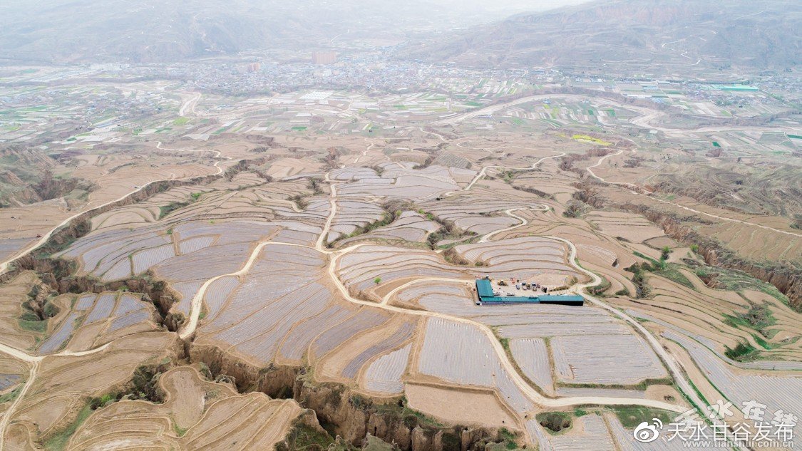 抖音业务关注秒网低价dy：短视频营销干货低价代理服务